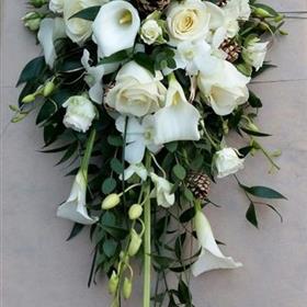 fwthumbBrides (1).jpg